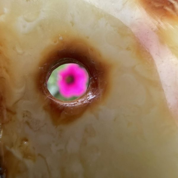 Bursztyn mleczny kropeczki dziurka